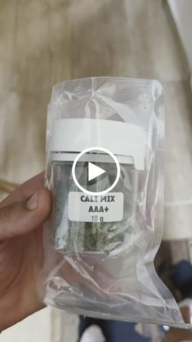Customer video review of White Russian THCA Flower