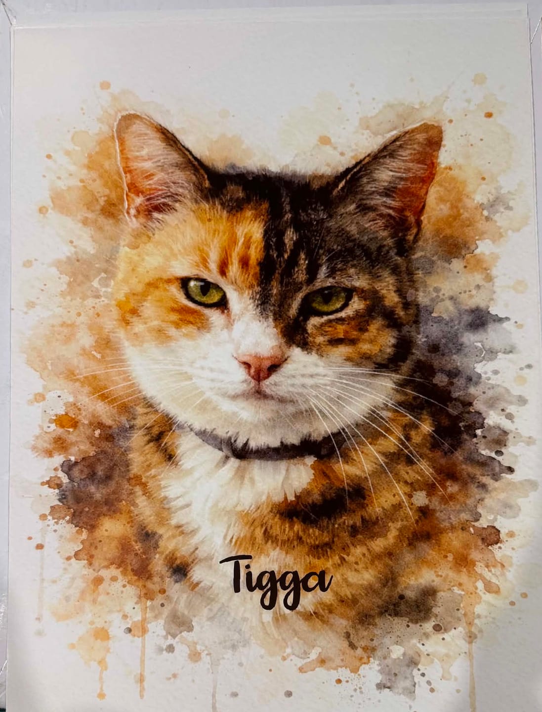 Customer photo review of Personalised Poster With Dog or Cat - Watercolour