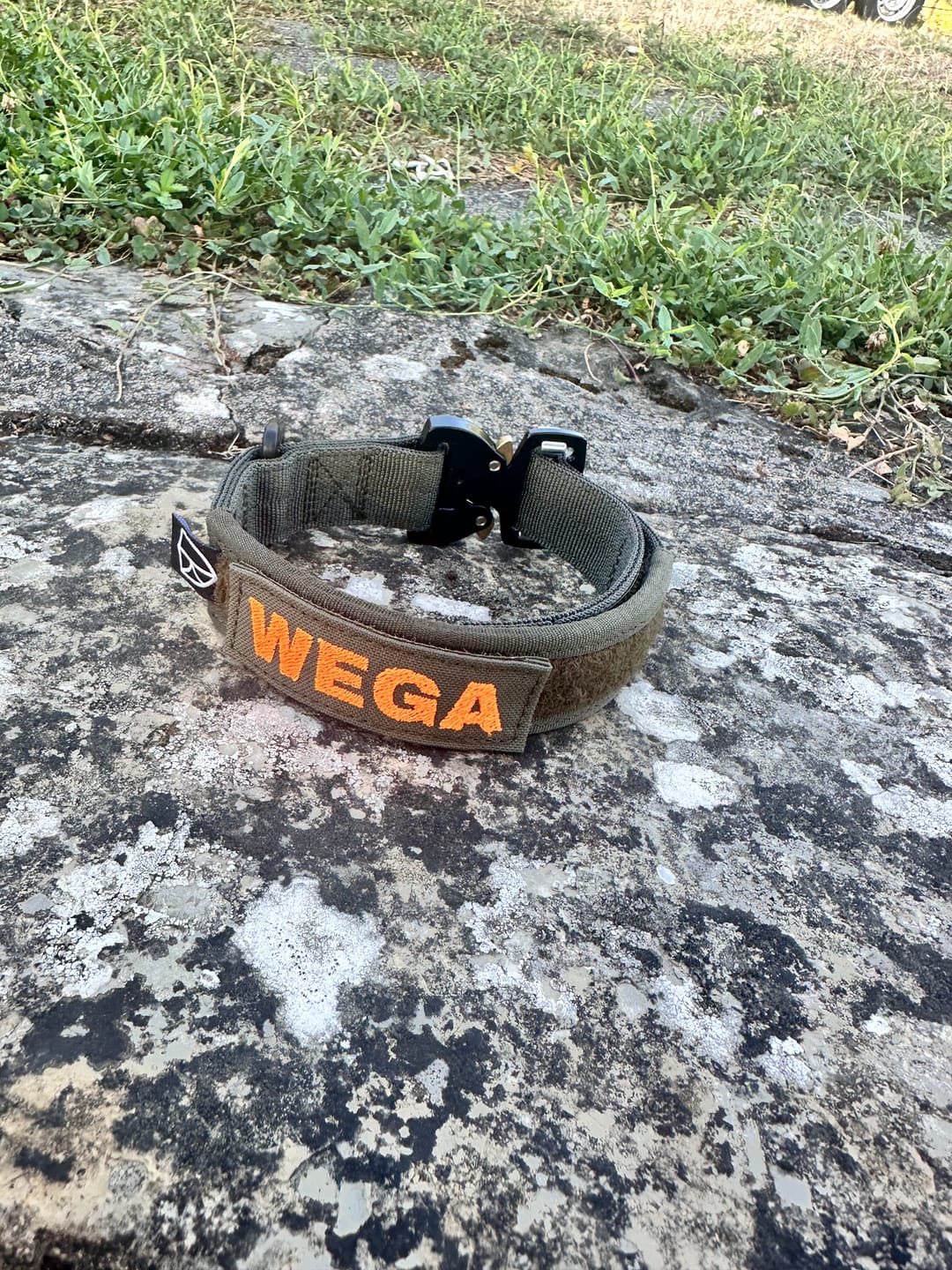 Kundenfoto von Katrin G.: Sonderanfertigung Halsband