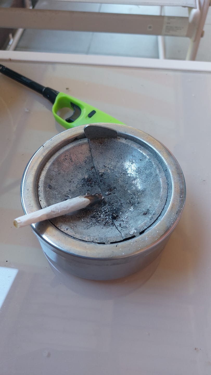 Customer photo review of GELATO X 30%