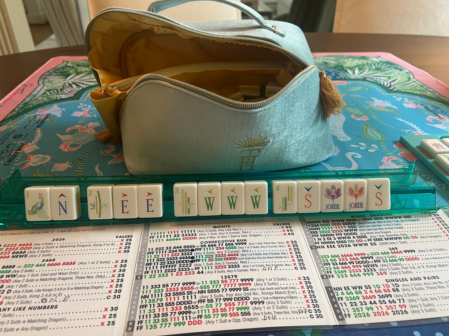Customer photo review of Sky Blue Velvet Tile Zipper Bag