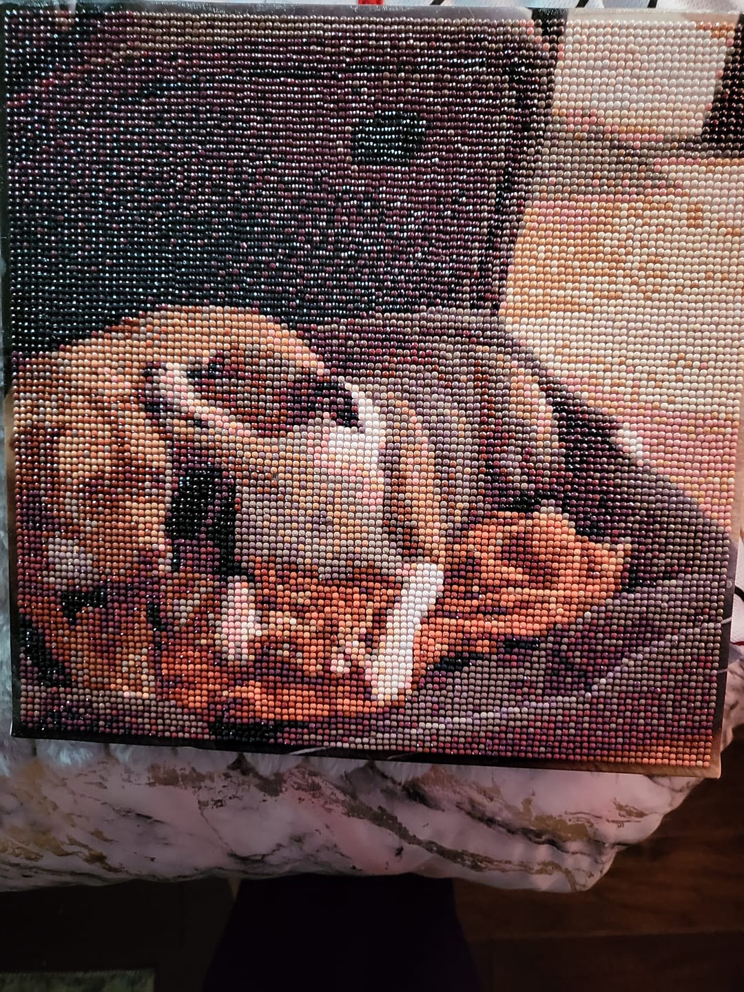 Customer photo review of Custom Diamond Painting