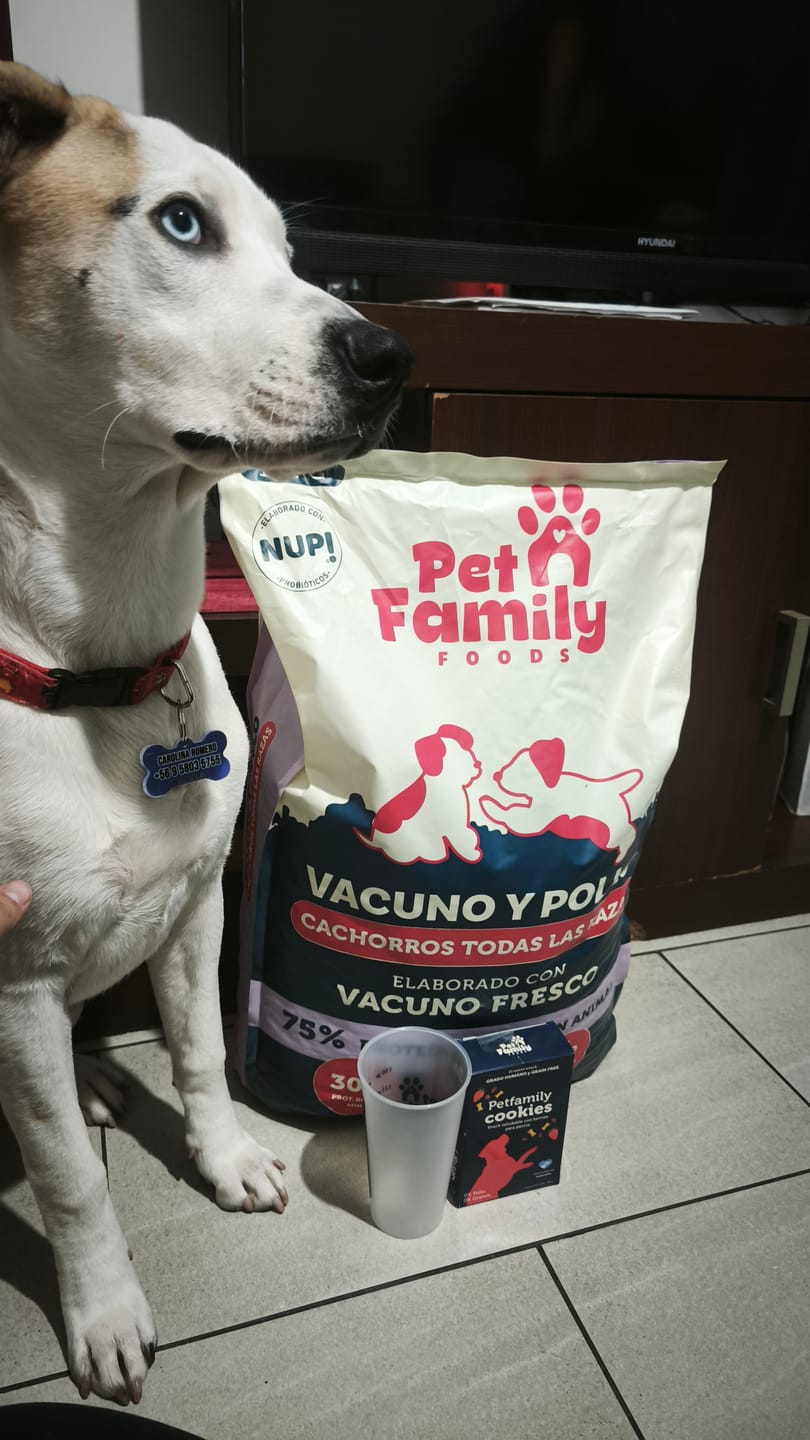 Customer photo review of PetFamily Foods Cachorros