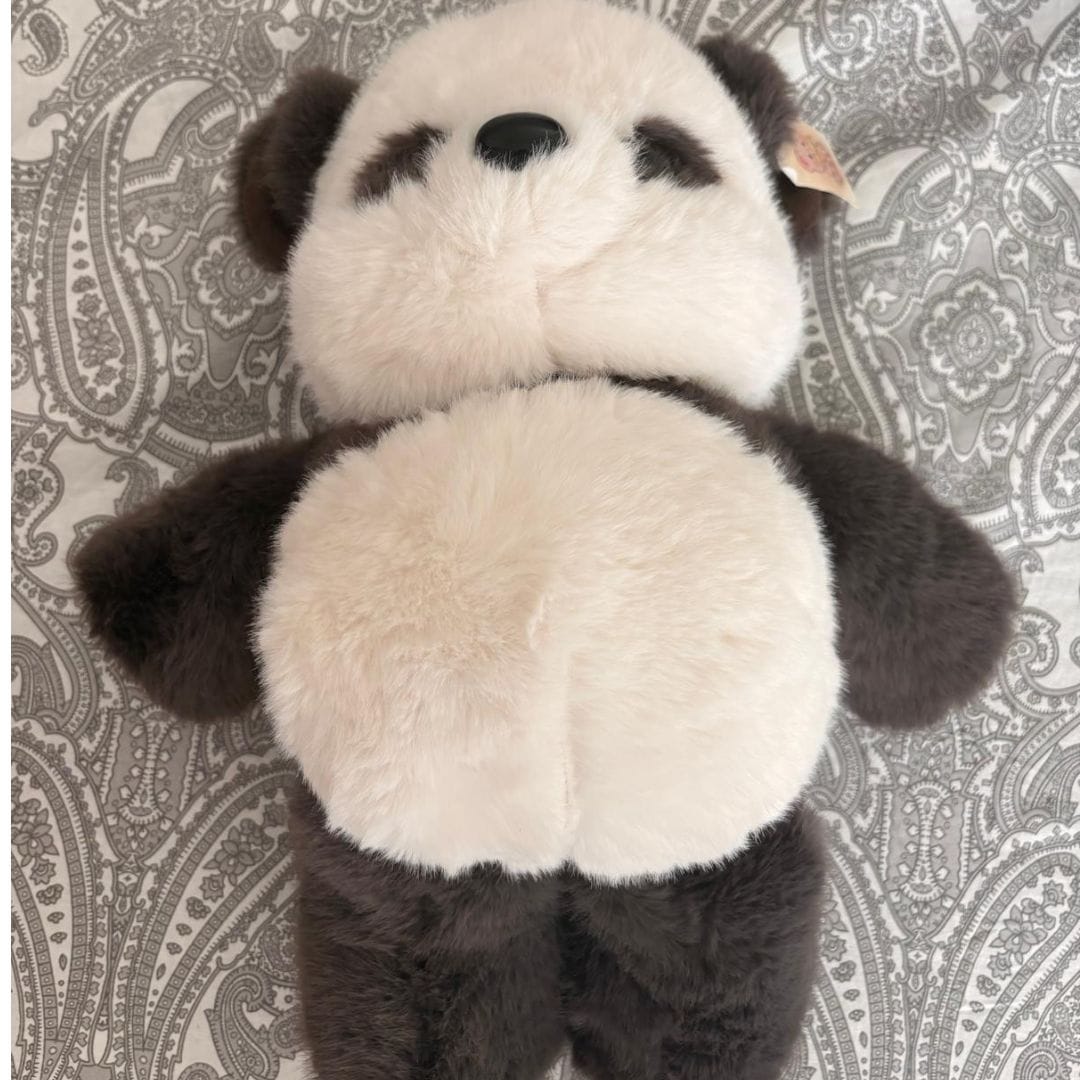 Customer photo review of PandiRun™