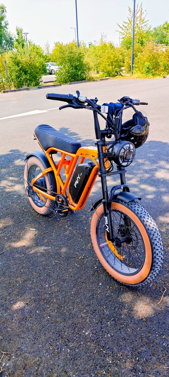 Customer photo review of PVY A20