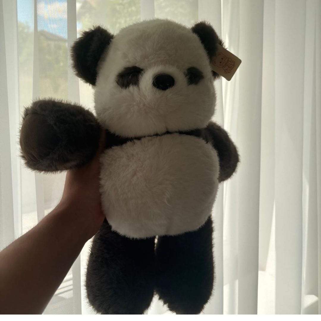 Customer photo review of PandiRun™