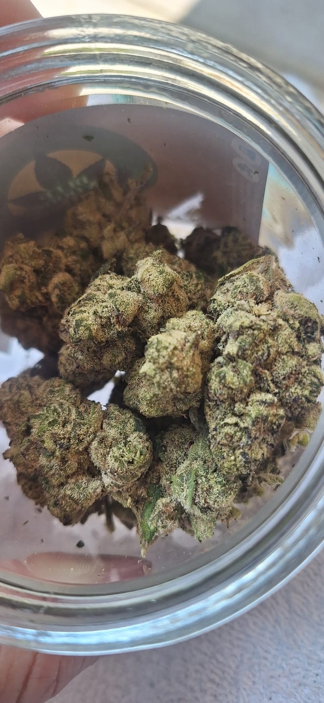 Customer photo review of Blueberry THCA Flower (Exotic)