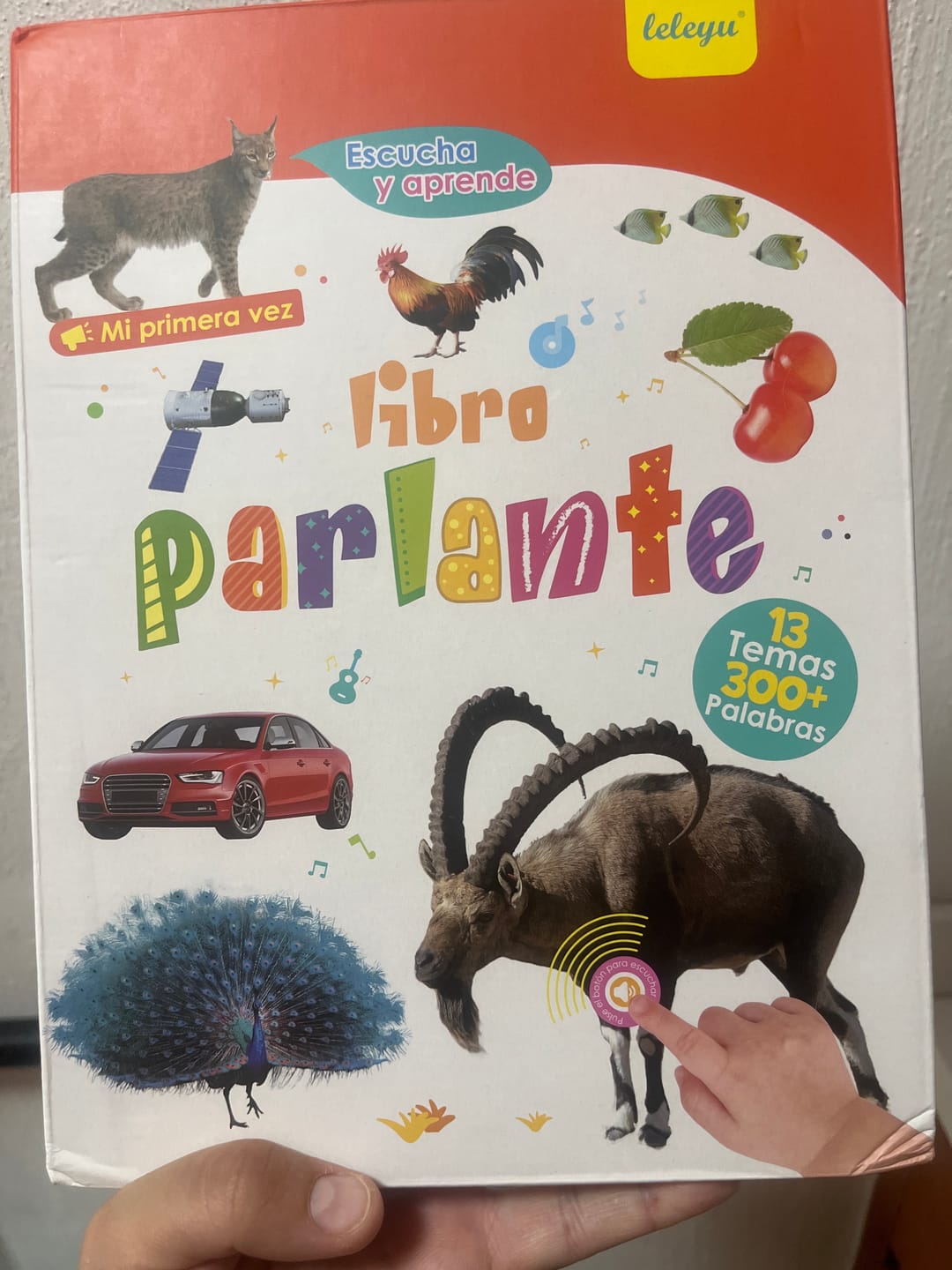 Customer photo review of Libro Educativo con Sonido CREARIO™