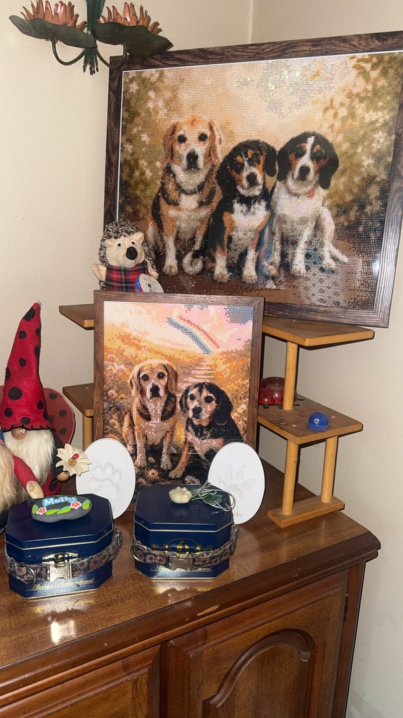 Customer photo review of Custom Diamond Painting Kit