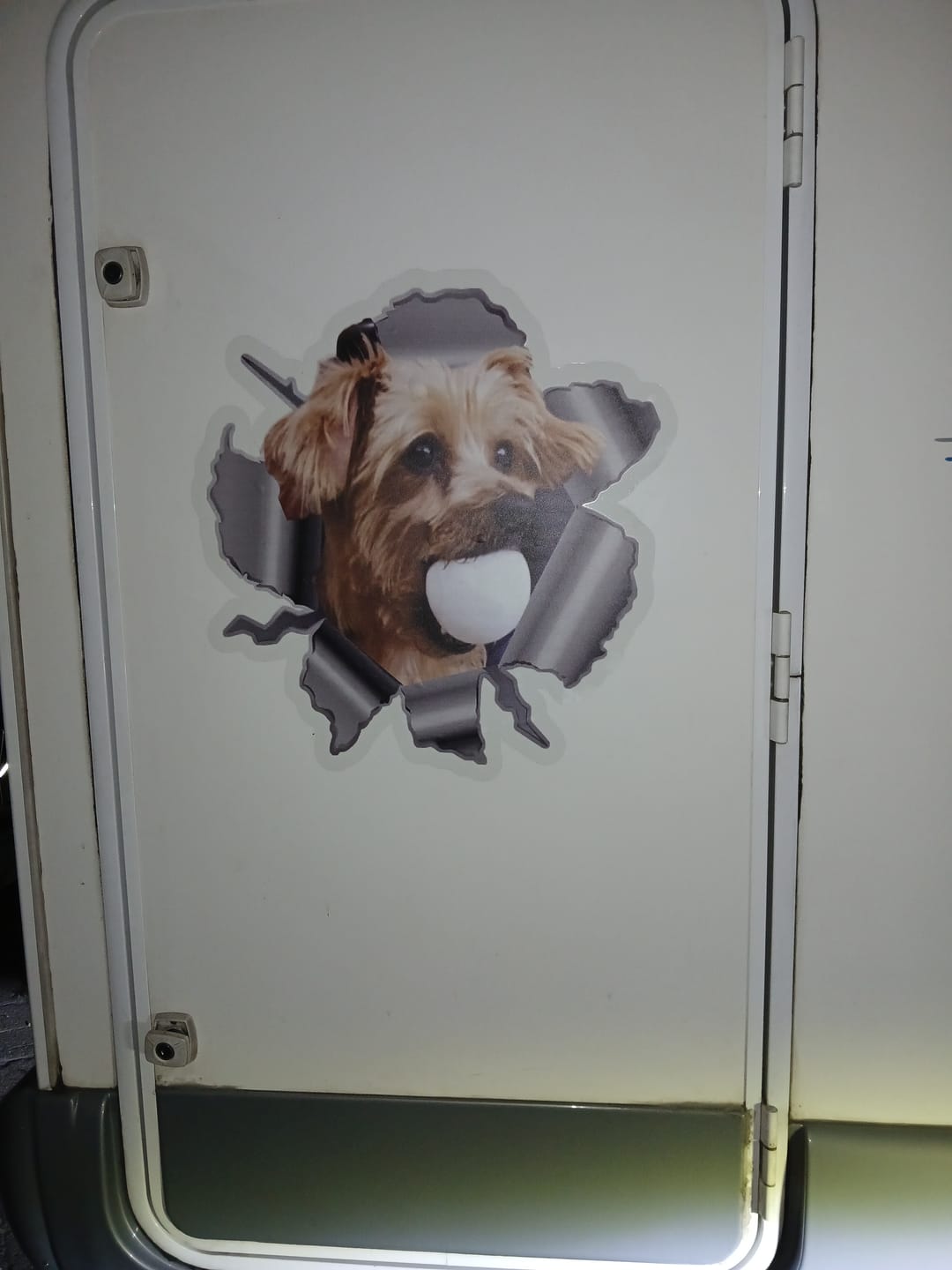 Customer photo review of Personalized Peeking Pets Decal - Gift For Pet Lovers