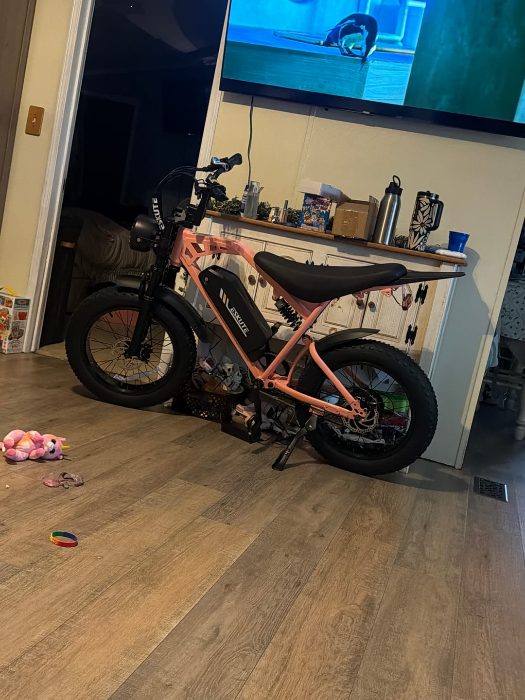 Customer photo review of Eskute® V200 20*4.0" Dirt Electric Bike for Kids&Teens