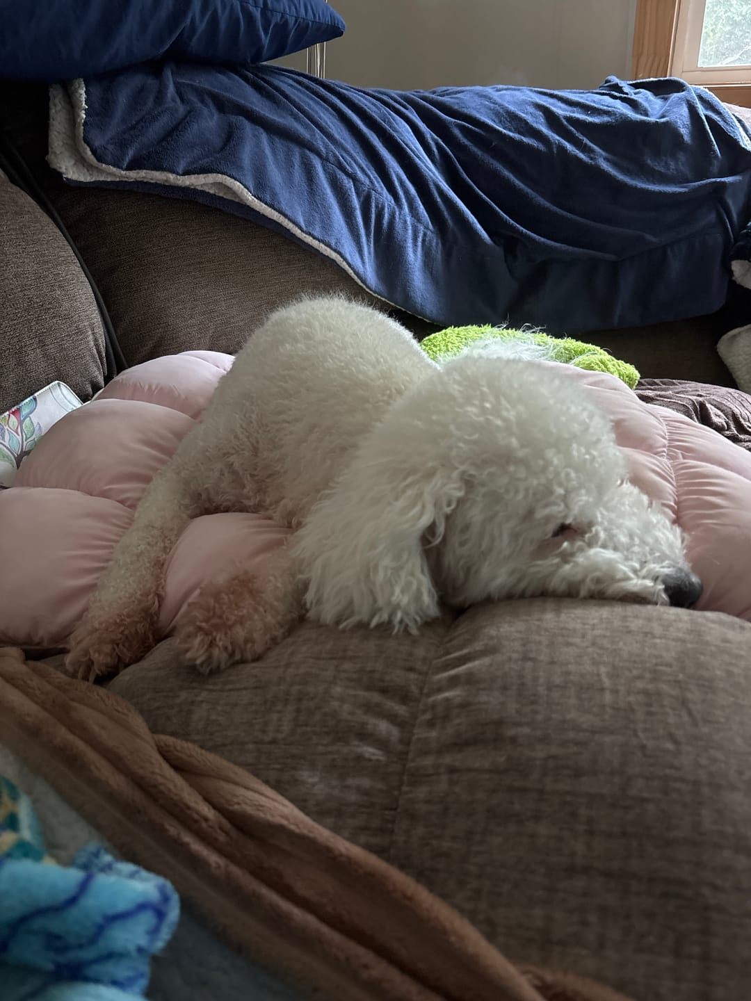 Customer photo review of Puff Pillow