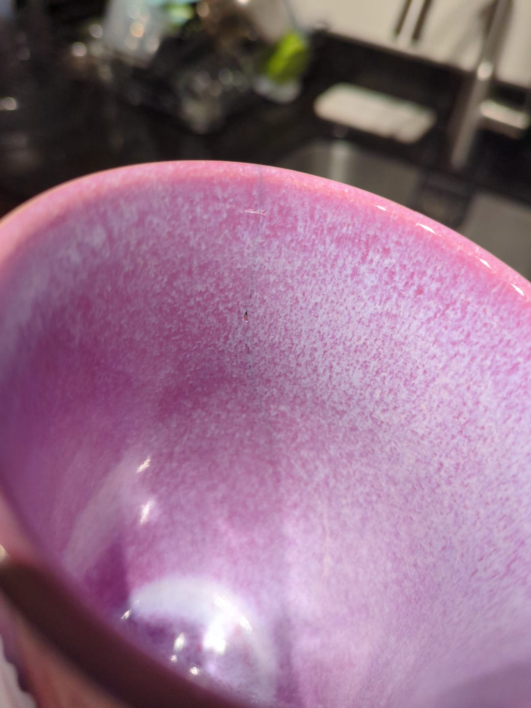 Customer photo review of Astral Bloom Cup 16oz