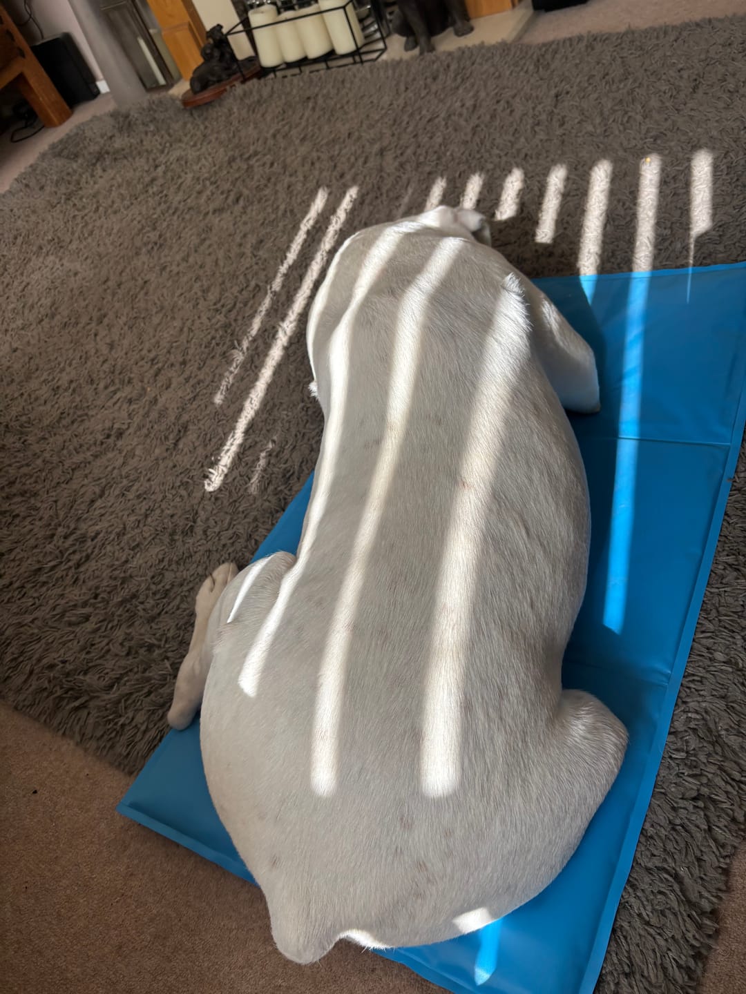 Customer photo review of Arctic Cooling Mat