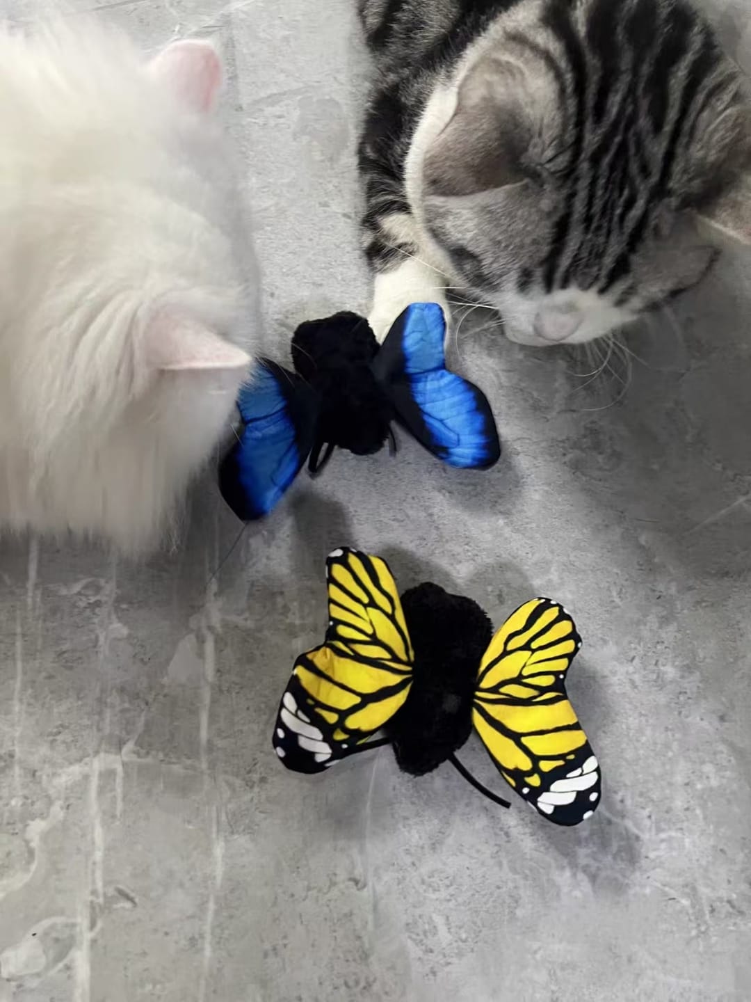 Customer photo review of FlutterBloom™ Rechargeable Flapping Butterfly Cat Toy