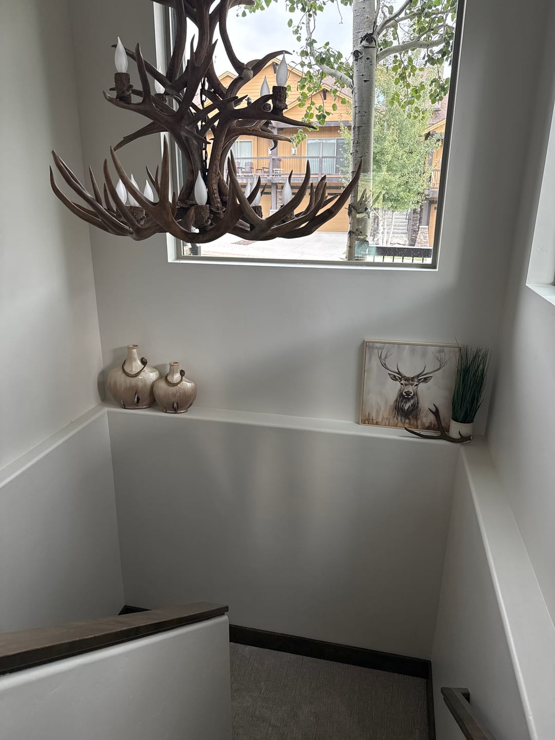 Customer photo review of Abstract Animal Canvas Art #DW112