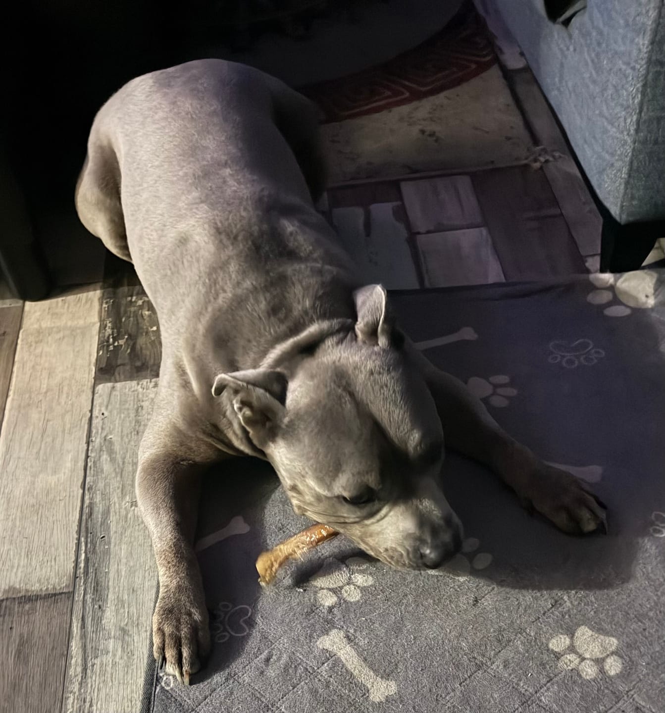 Customer photo review of Pizzle Stix (1kg pack)