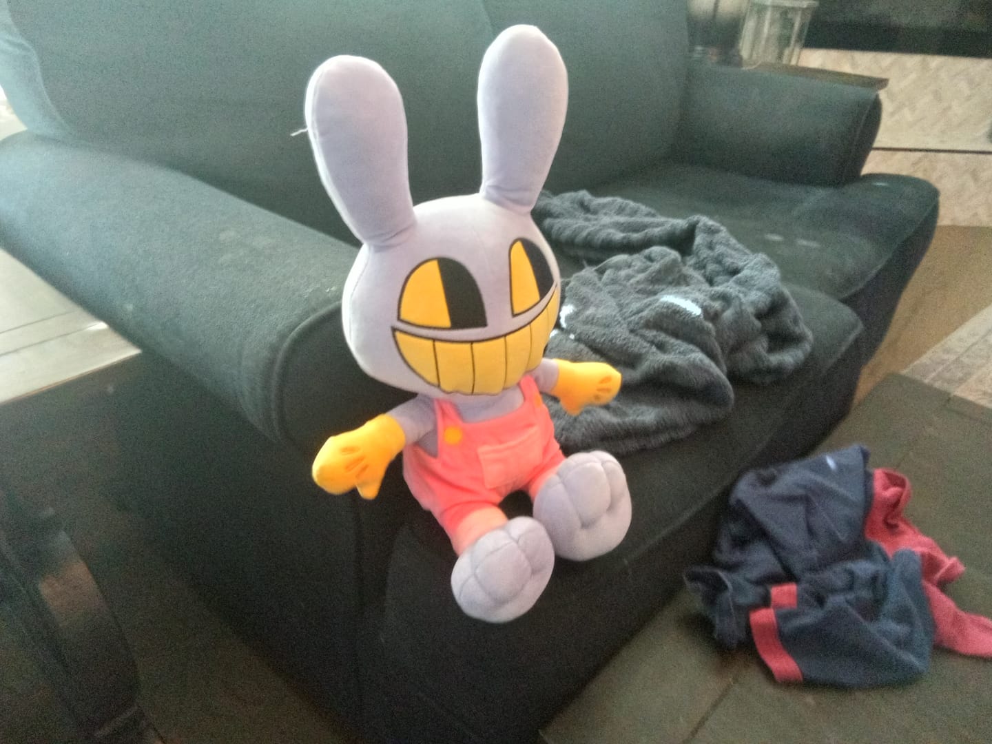 Customer photo review of Jax Plush