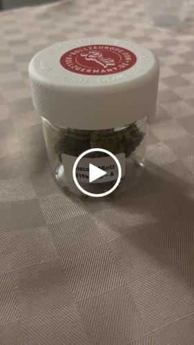 Customer video review of THC-A 31% Flower Biscotti Mintz