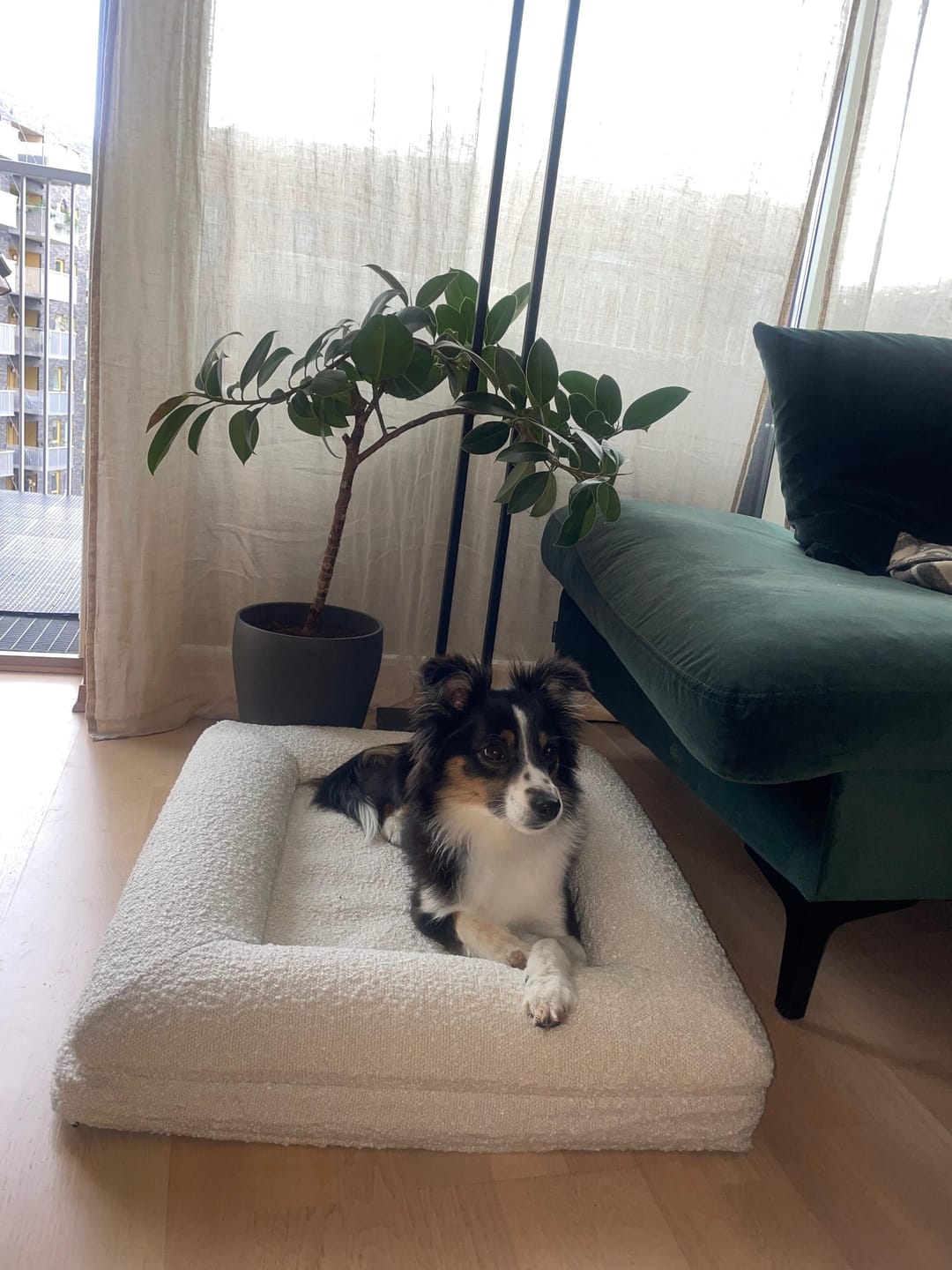 Customer photo review of Bouclé Bed White Small