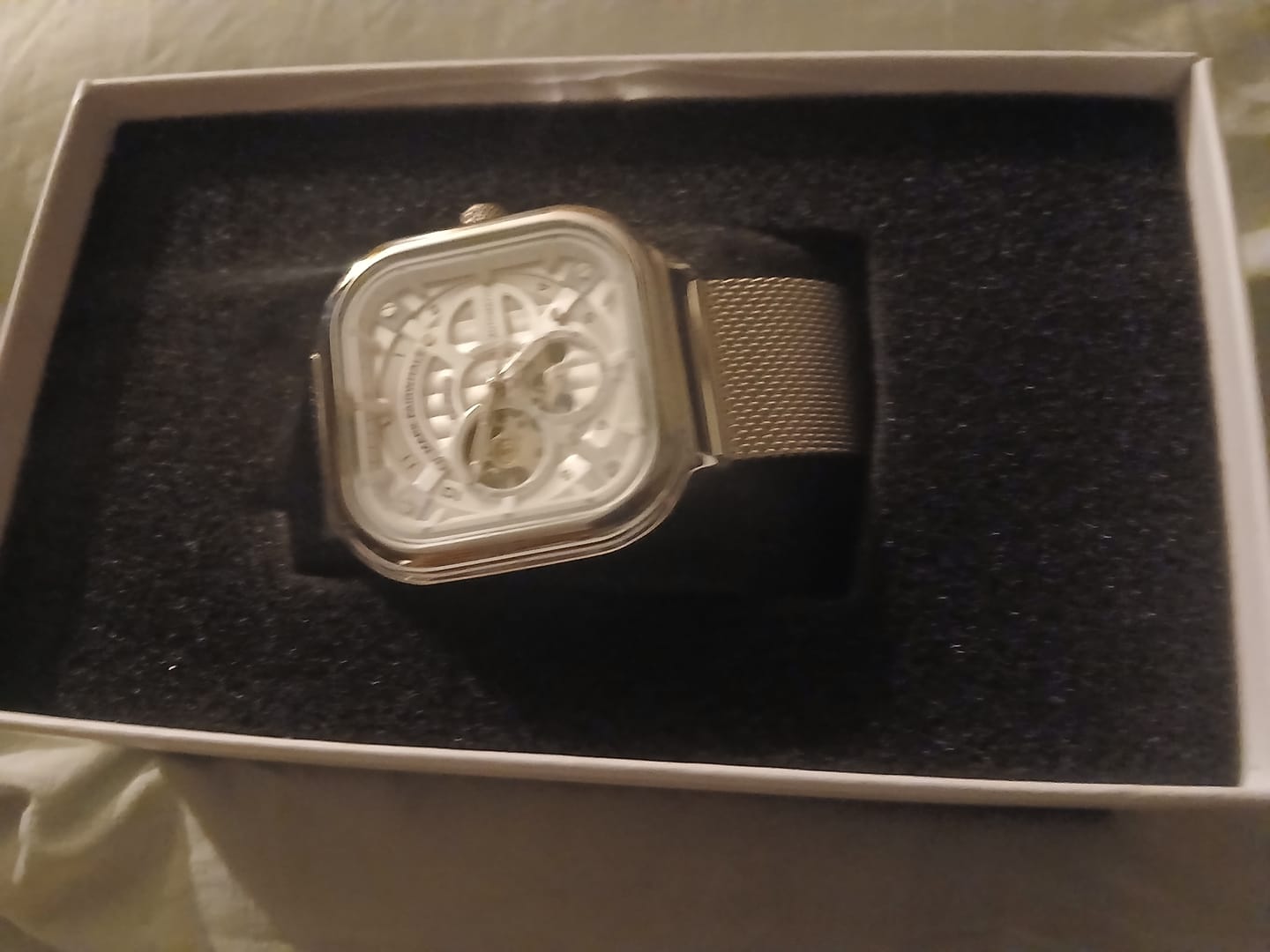 Customer photo review of Mark Fairwhale FW-6014 STEELVOR - Men’s Automatic Mechanical Stainless Steel Watch