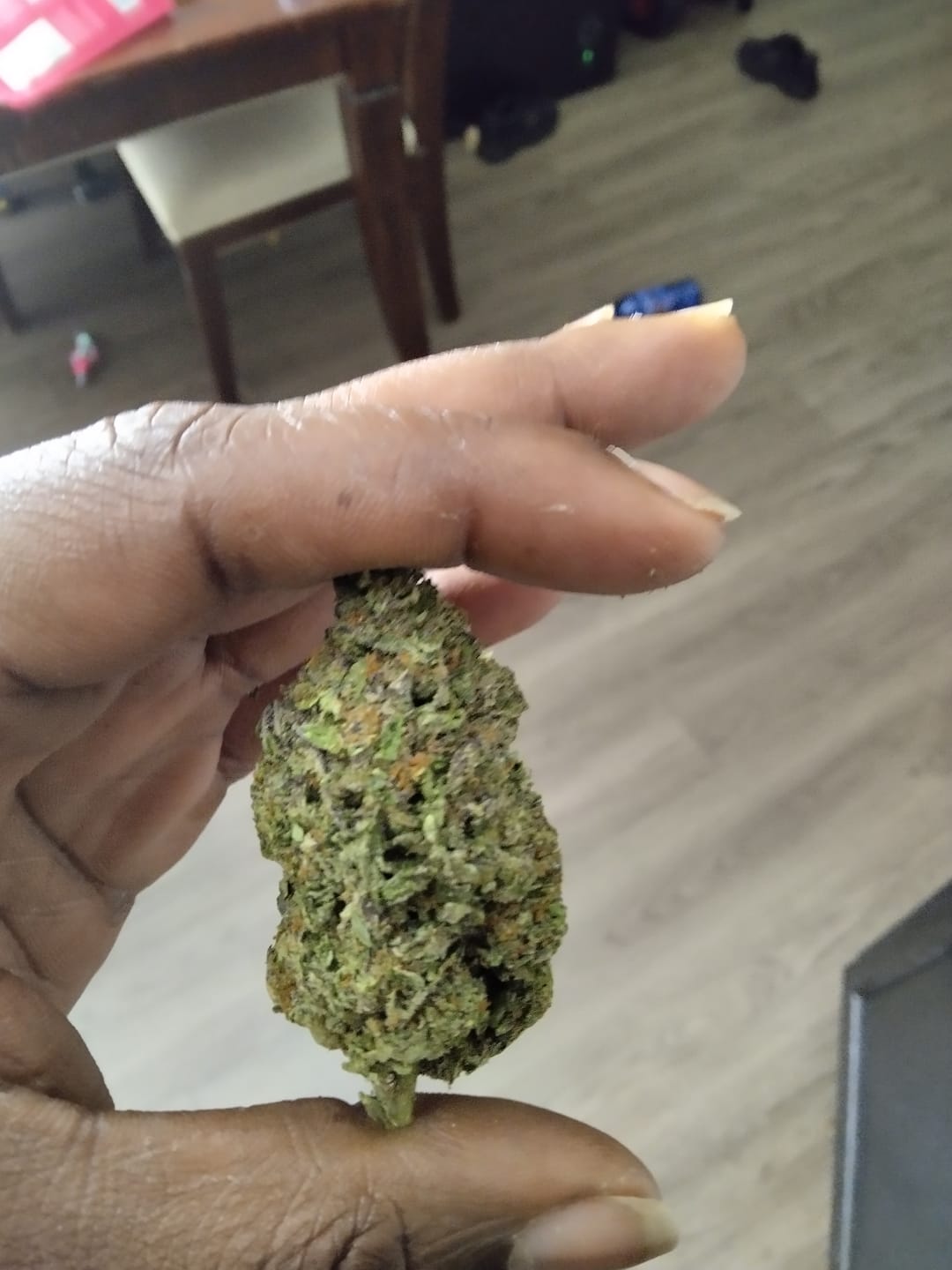 Customer photo review of Ice Cream Cake - Bulk - Indica