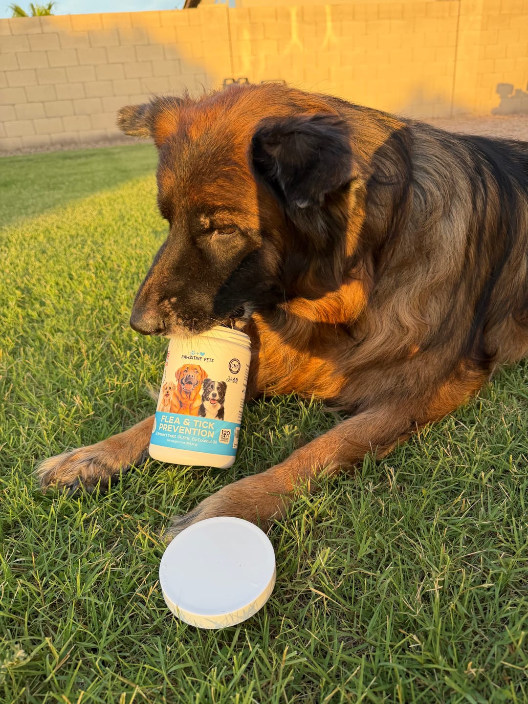 Customer photo review of Flea and Tick Prevention for Dogs – 120 Soft Chews