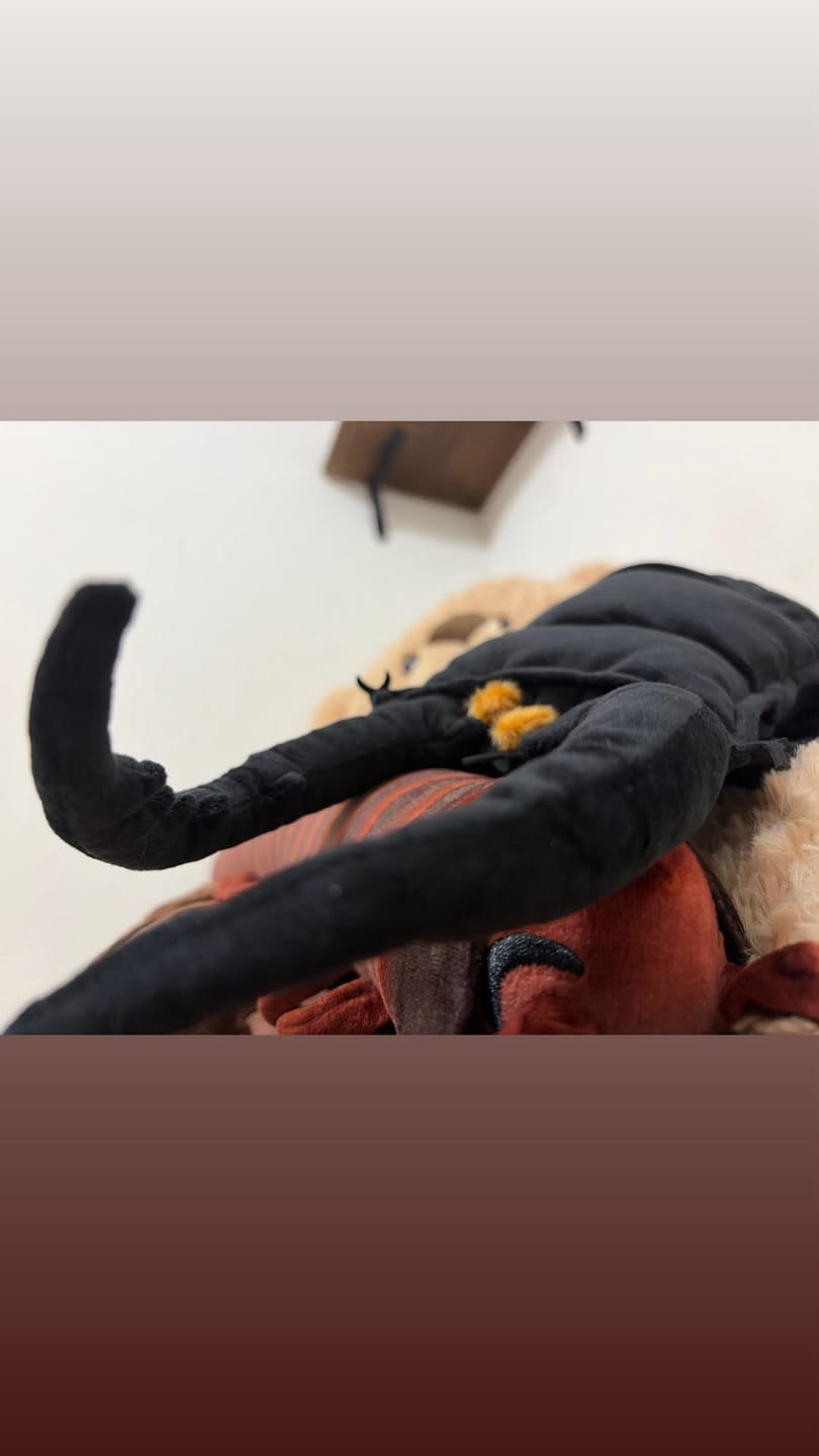 Customer photo review of Stag Beetle Soft Stuffed Plush Toy