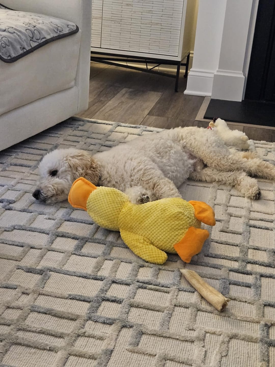 Customer photo review of Canard Anti-Stress