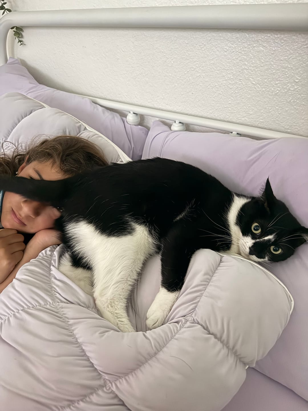 Customer photo review of Puff Pillow