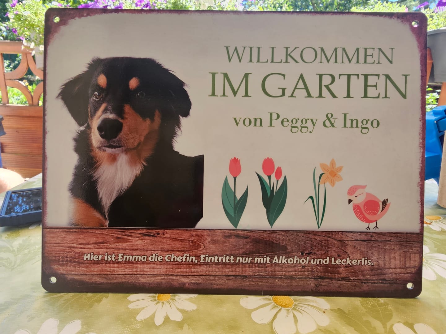 Customer photo review of Hunde Garten-Schild personalisiert mit Foto & Text (UV- und wetterfest)