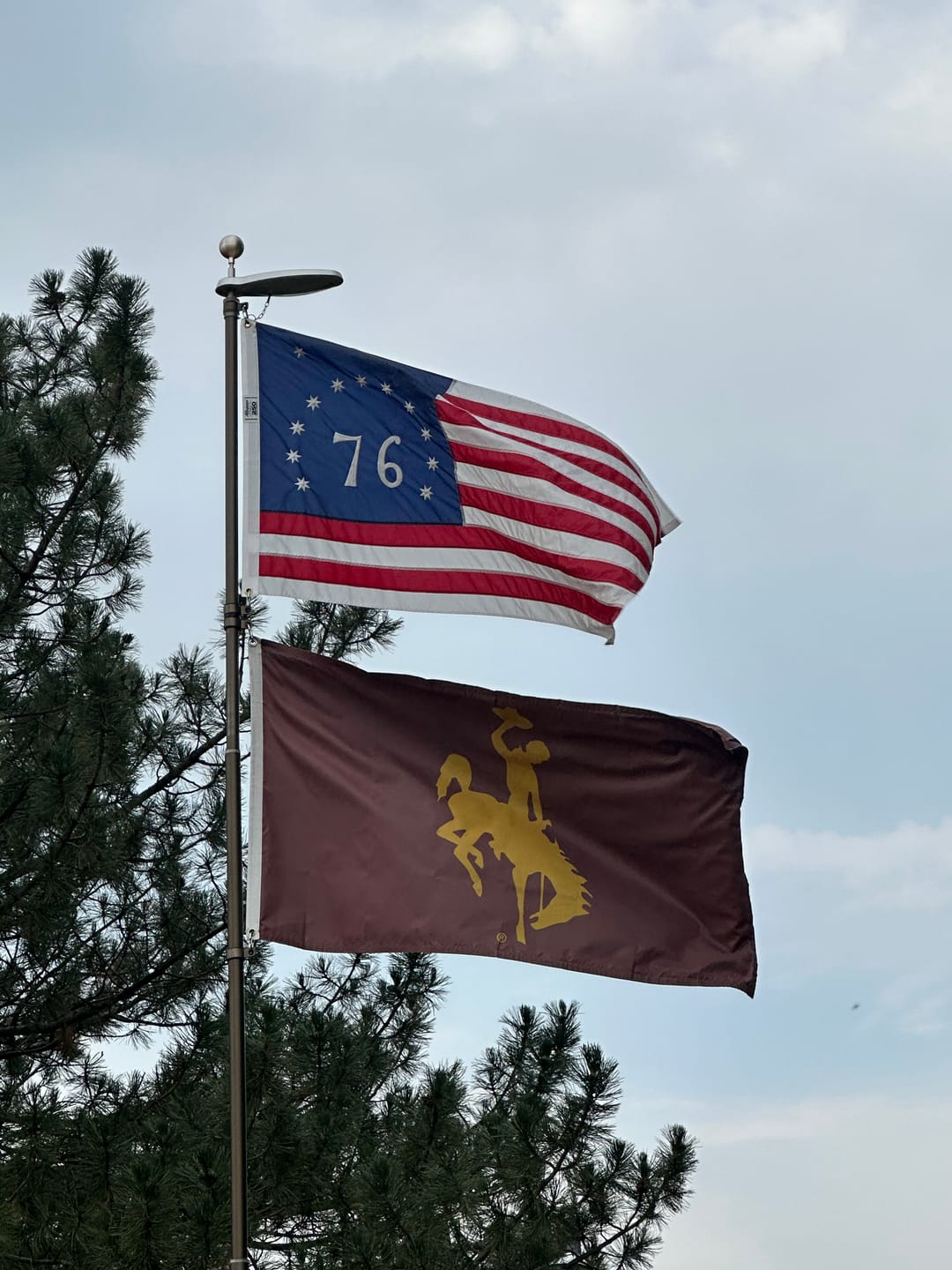 Customer photo review of 3' x 5' Bennington Flag