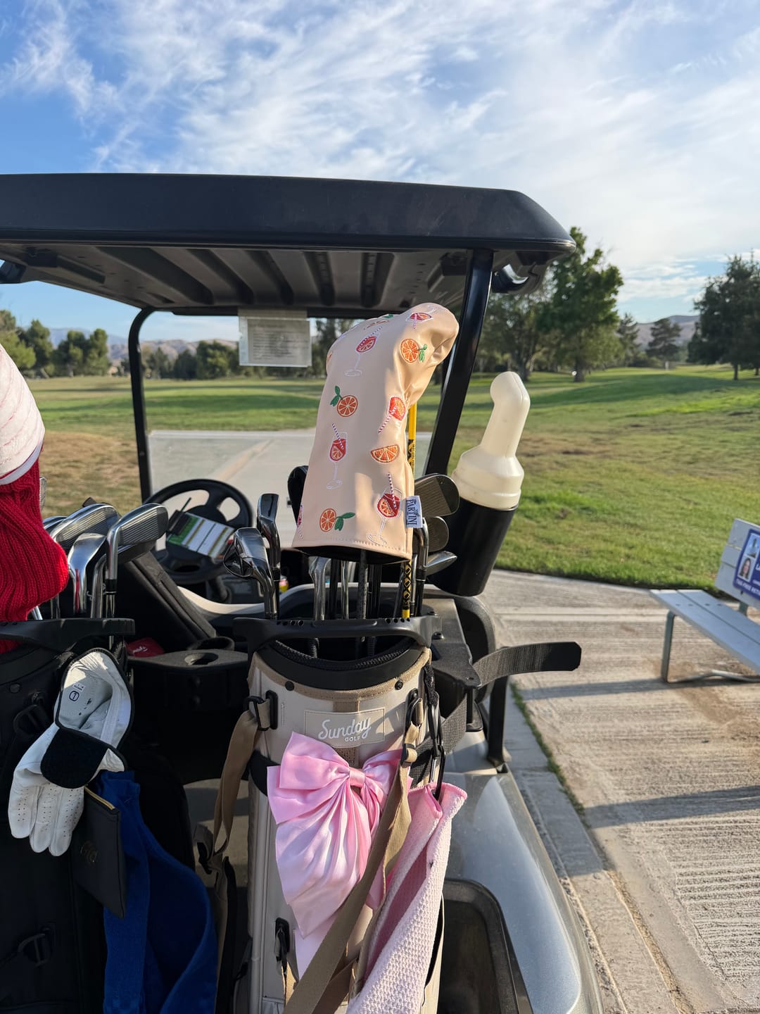 Customer photo review of Spritz Szn Driver Cover