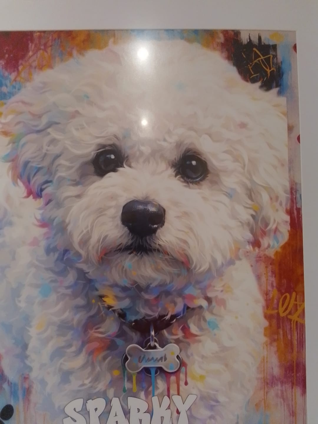 Customer photo review of Graffiti -  Personalised Poster