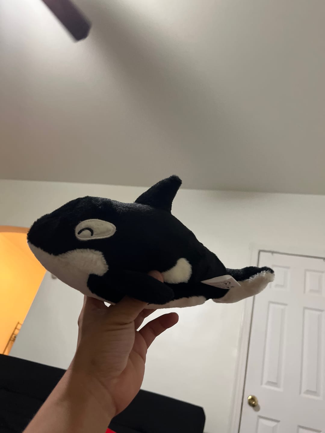 Customer photo review of Ray Adoption Plushie