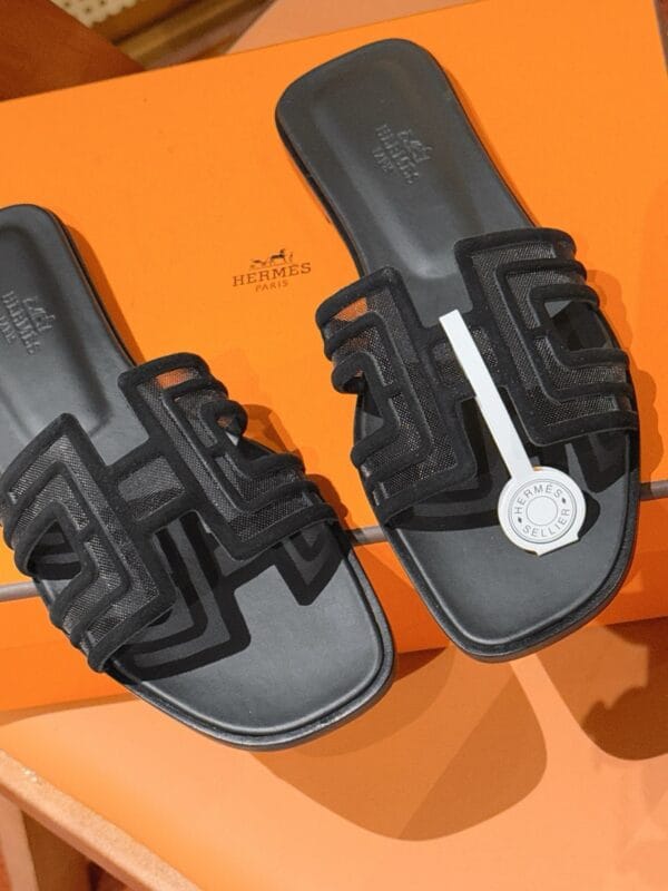 Customer photo review of Hermes 2026 Oran Sandal Suede Mesh 898415