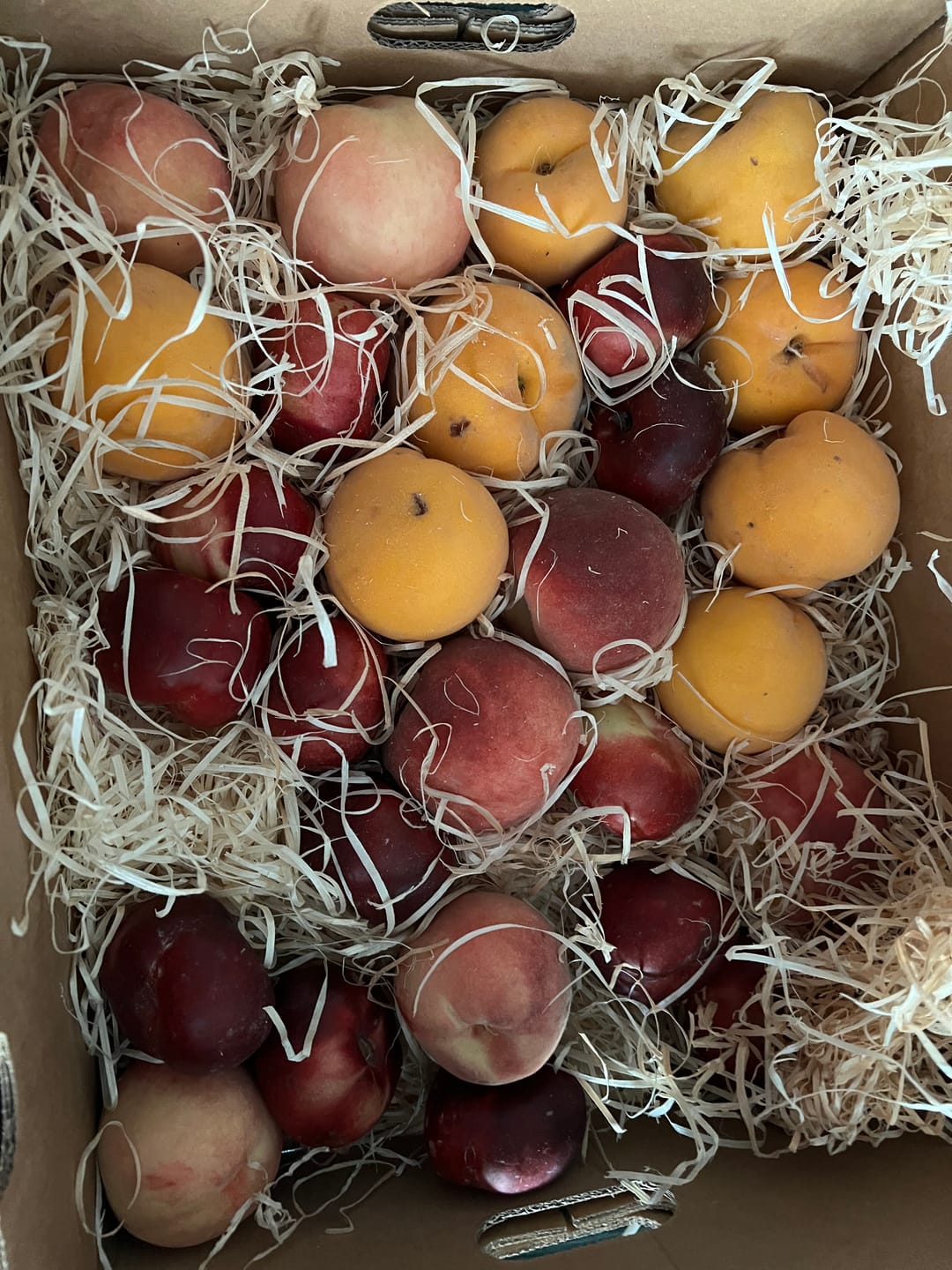 Customer photo review of Pfirsich & Nektarinen Bio von Jordi Retterbox 3kg