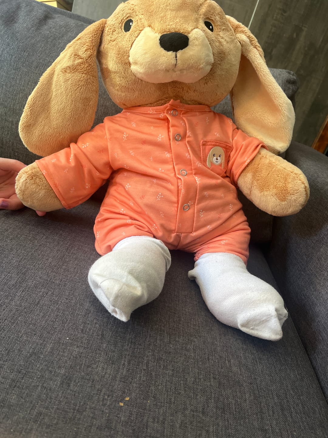 Customer photo review of Lotgenootje Konijn 2kg