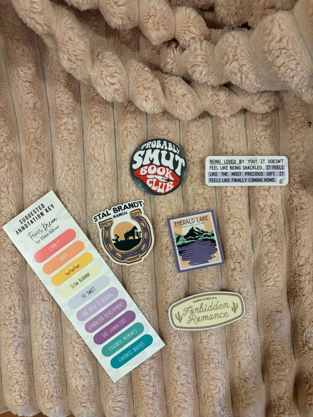 Customer photo review of smut slut book club subscription