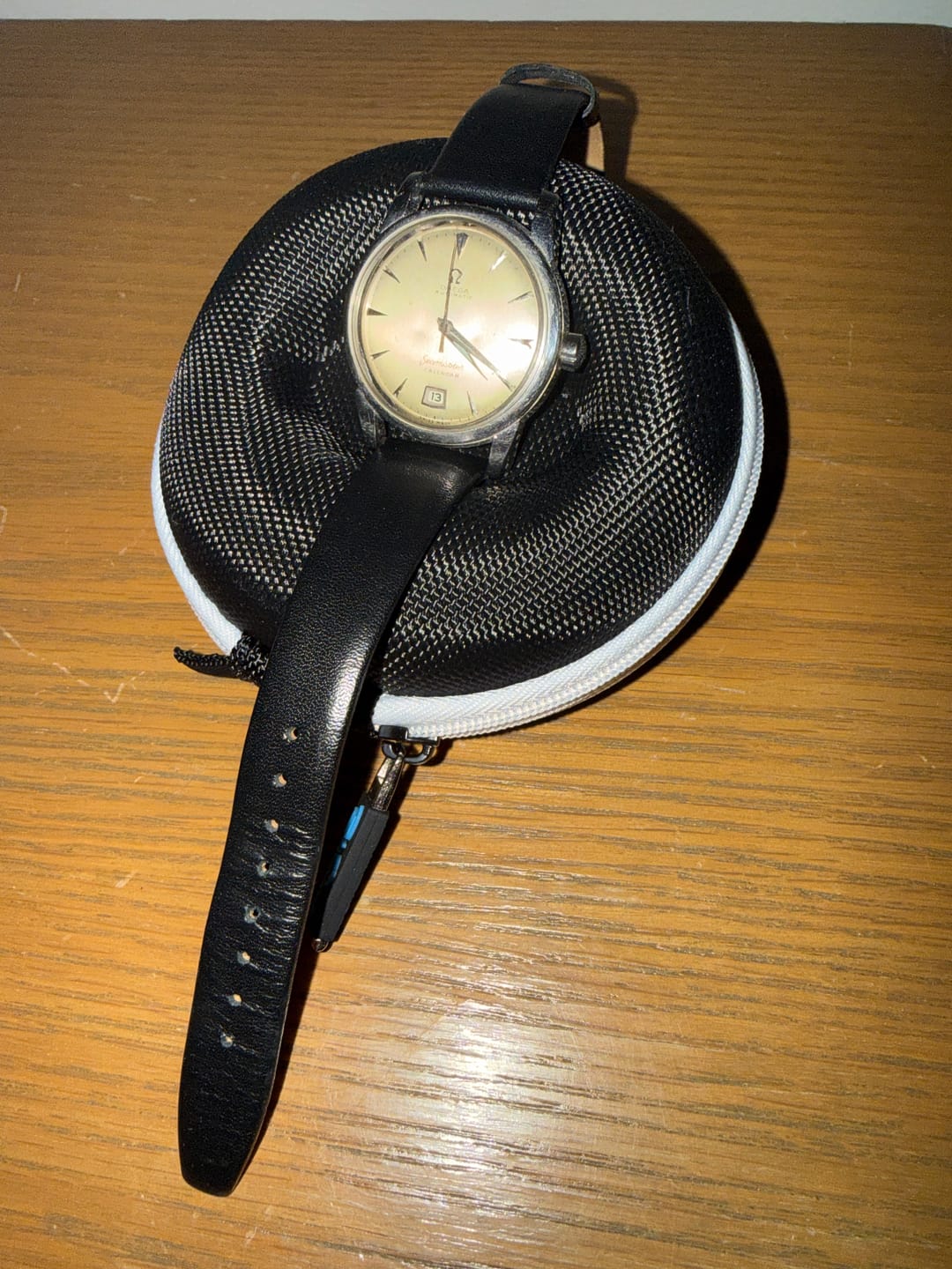 Customer photo review of The Pod - Travel Watch Case - ORCA