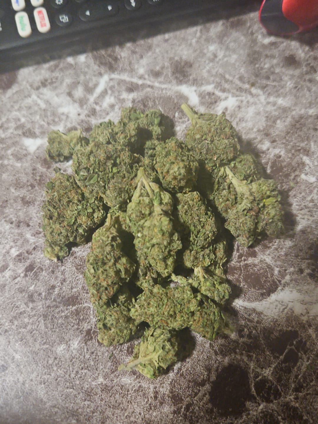 Customer photo review of Biscotti 33 - Bulk - Indica