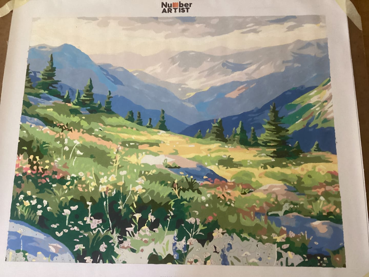 Customer photo review of Mountain Chain View