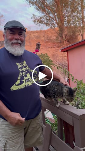 Customer video review of Cat DJ T-Shirt