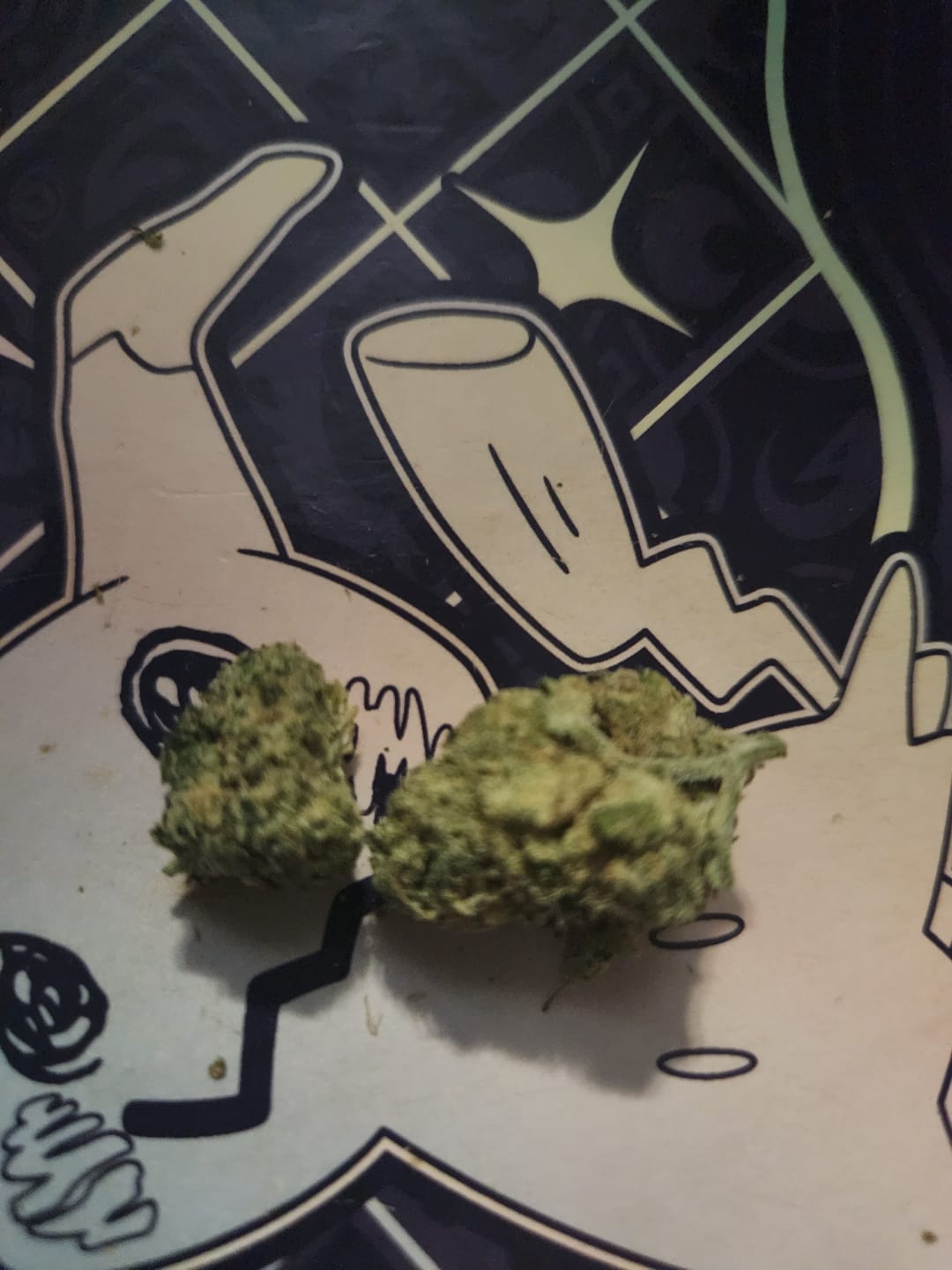 Customer photo review of Biscotti THCA Flower (Budget)
