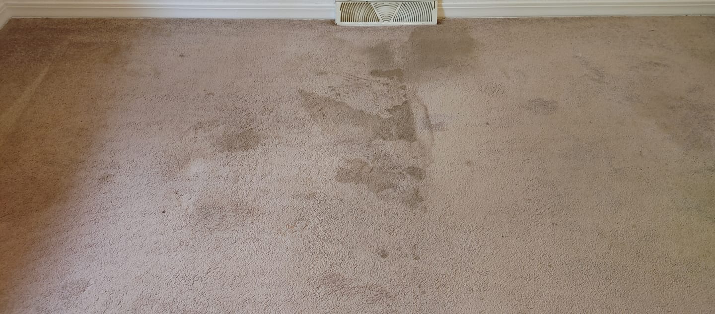 Customer photo review of • Releasit Encap-Clean DS2 (4 Gallon) Encapsulation Carpet Cleaning Detergent [Encap]