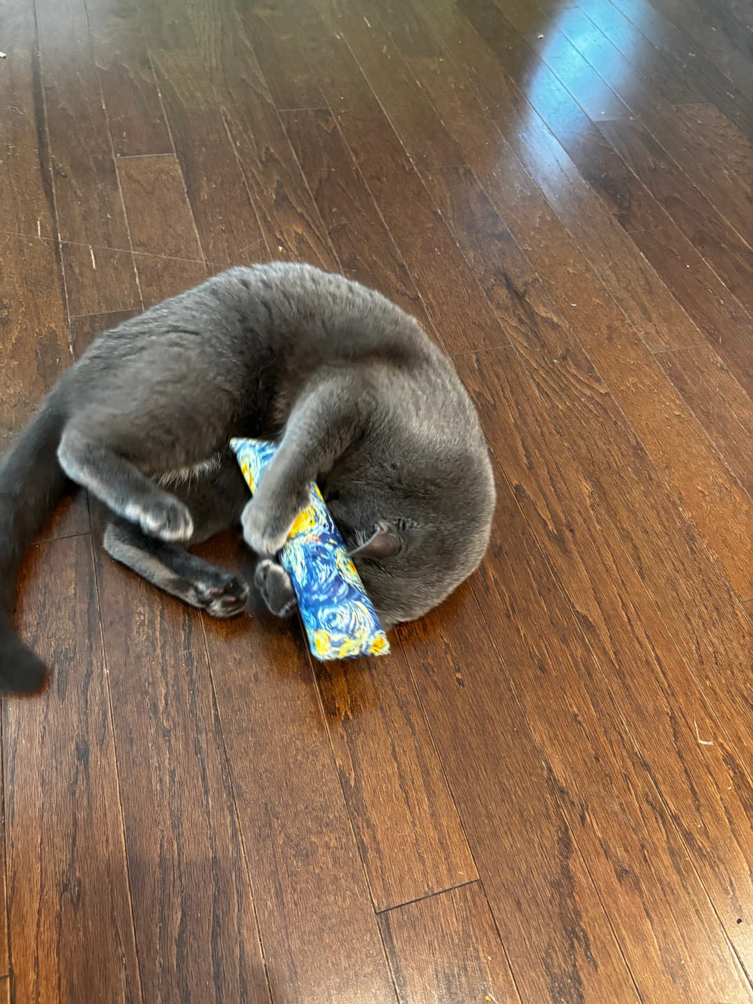 Customer photo review of Starry Night Catnip with Valerian Root Cat Toy