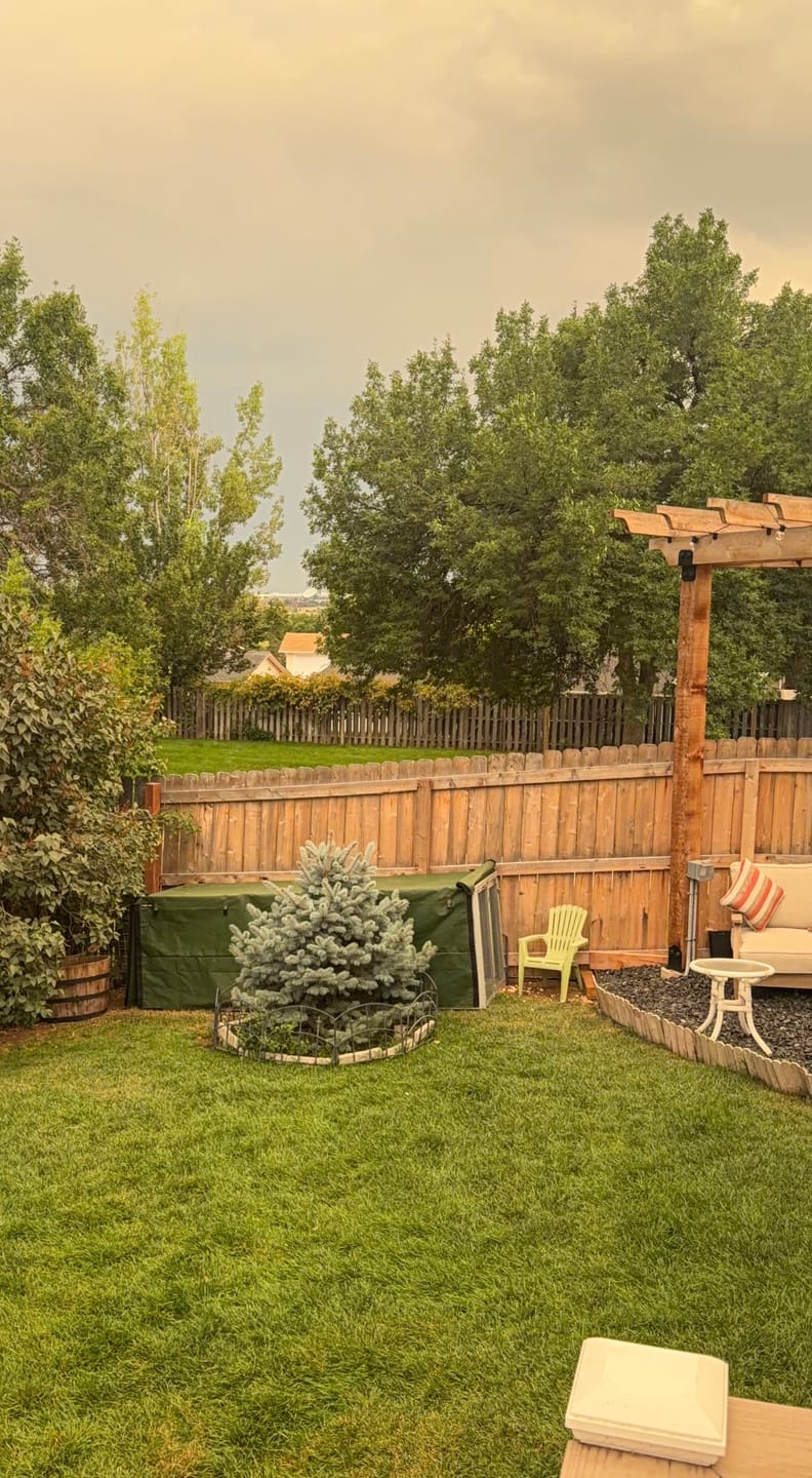Customer photo review of Mobile Chicken Coop / Chicken Tractor