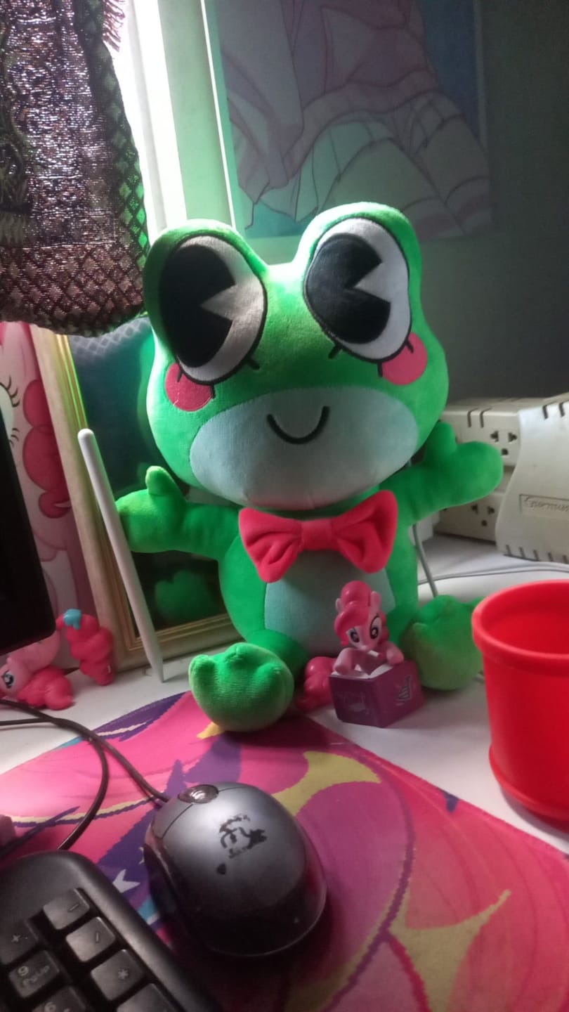 Customer photo review of Ribbit Plush