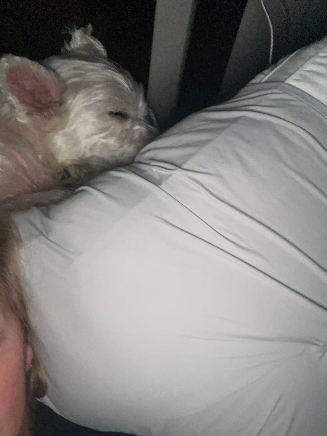 Customer photo review of Puff Pillow