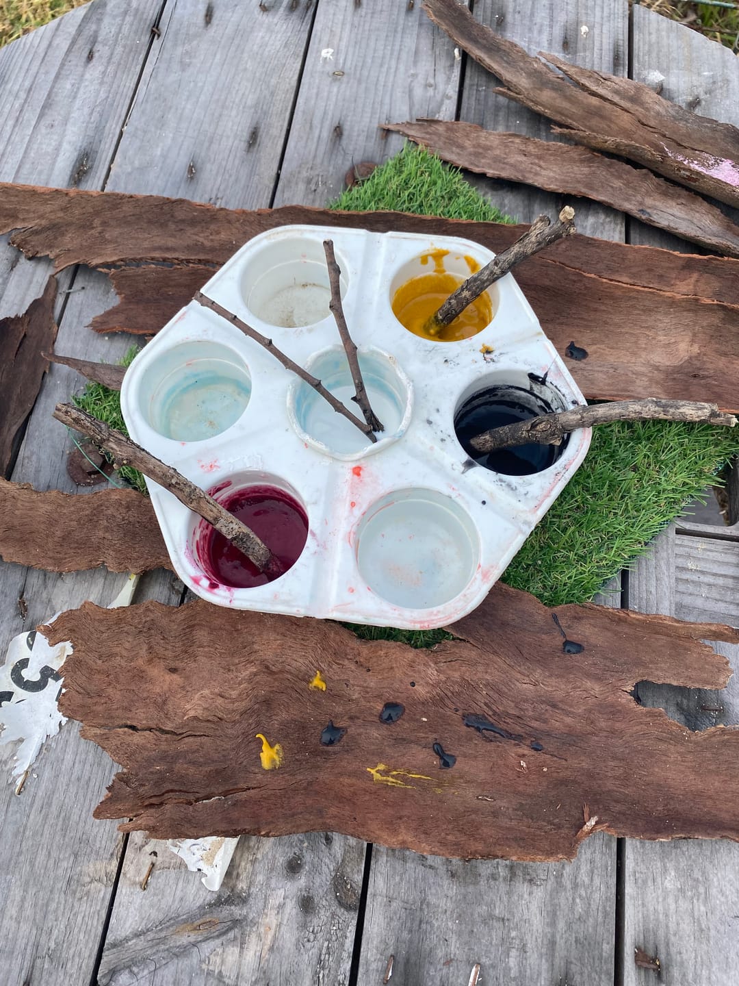 Customer photo review of Eco Paint Set